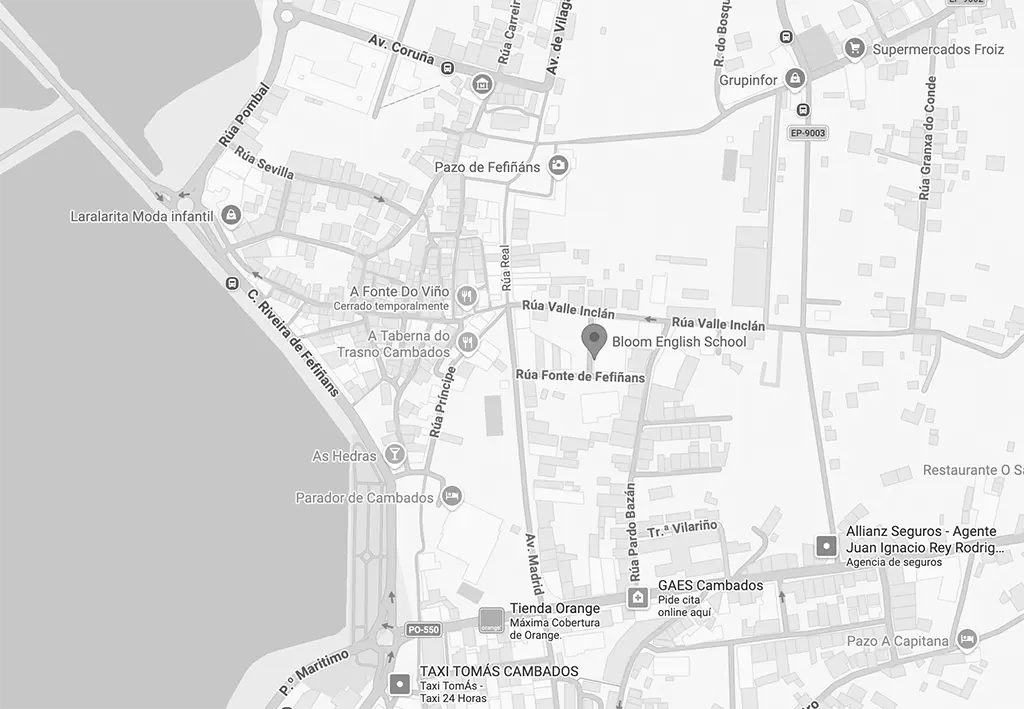 mapa situación Academia Bloom en Cambados